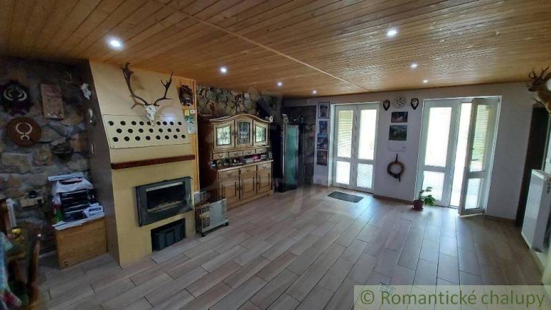 Wohnzimmer in einem Einfamilienhaus, helle Holzdecken, Kamin, Vitrine, Jagdtrophäen.
