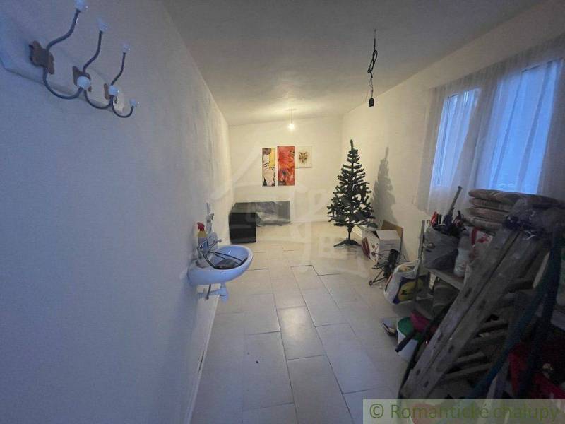 Ein schmaler Raum mit Waschbecken, Baum, Regalen, Bildern. Ein idealer Teil für ein Einfamilienhaus.