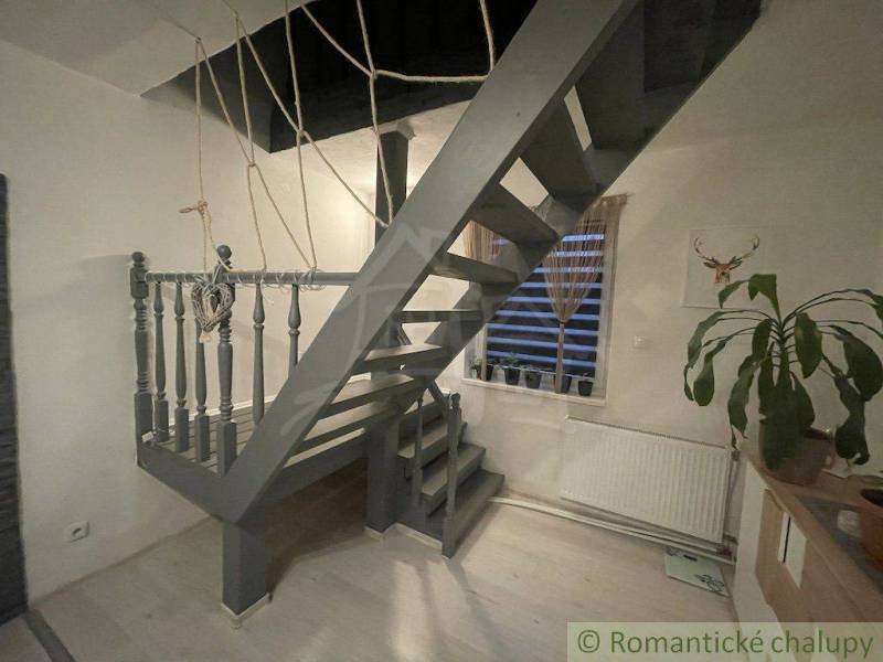 Innenraum eines Einfamilienhauses mit Holztreppe, Zimmerpflanze und einer Wand mit einem Hirschbild.