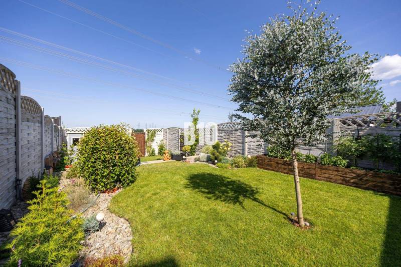 Ein Garten bei einem Einfamilienhaus in Stupava mit gepflegtem Rasen, Baum und Dekorationen.