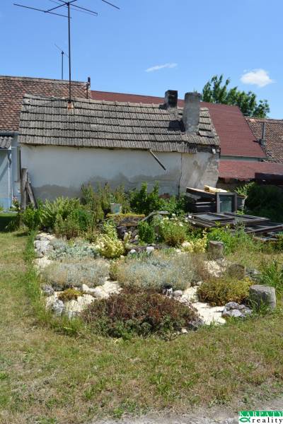 Ein Garten bei einem älteren Haus mit Vegetation und Kiesbeeten in Borský Svätý Jur.