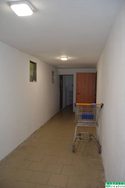 Ein enger Innenraum von Geschäftsräumen mit einem Einkaufswagen und Beleuchtung an der Decke.