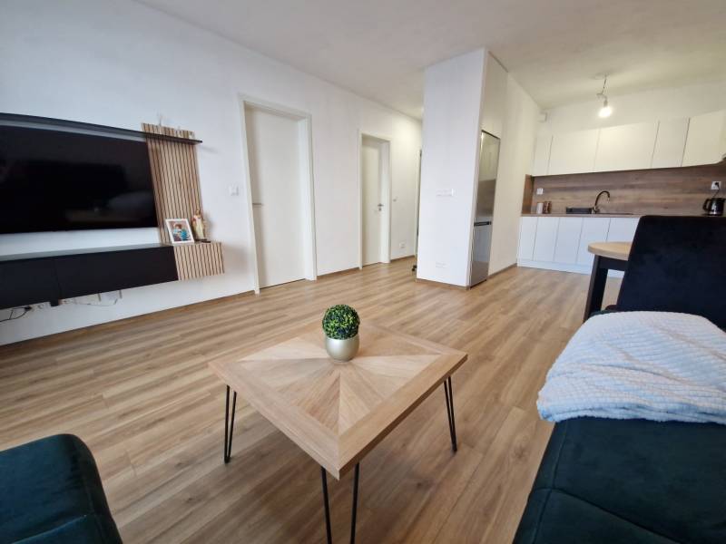 Wohnzimmer und Küche in einer Zweizimmerwohnung mit Holzboden und einem Fernseher an der Wand.