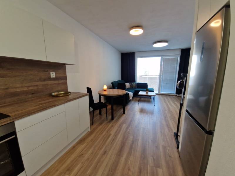 Küche und Wohnbereich in einer 2-Zimmer-Wohnung mit Holzboden und Sofa.