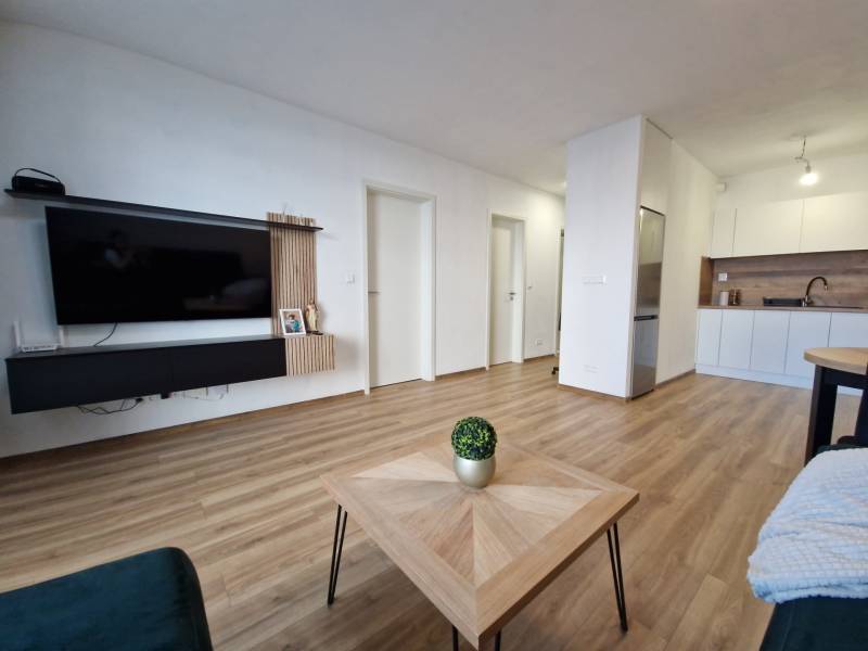 Wohnzimmer in einer 2-Zimmer-Wohnung mit Fernseher, Holzboden und Küchenzeile.