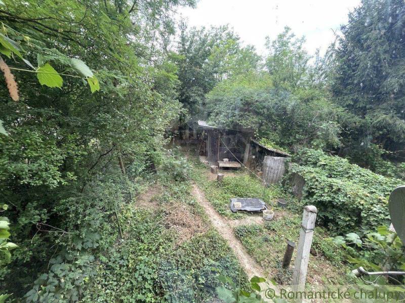 Ein überwucherter Garten bei einem Einfamilienhaus in Branč, umgeben von dichten Bäumen und Sträuchern.
