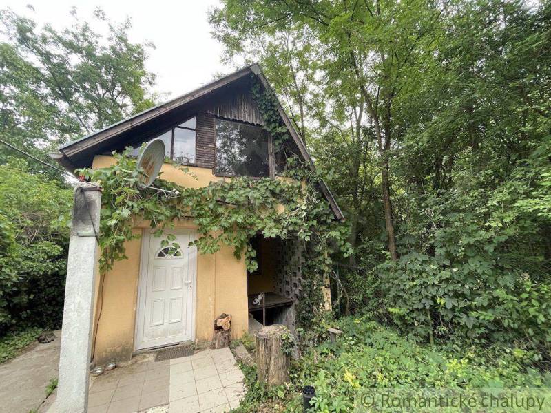 Ein Einfamilienhaus in Branč, umgeben von Bäumen, mit Weinreben an der Fassade und einer Satellitenschüssel.