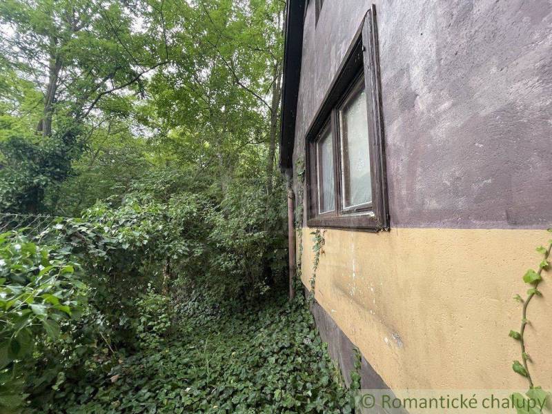 Ein Einfamilienhaus in Branč, umgeben von dichtem Bewuchs und grünen Pflanzen.