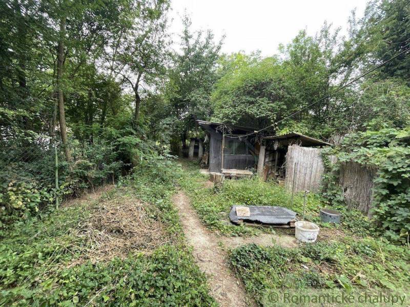 Ein überwucherter Garten bei einem Einfamilienhaus in Branč mit einer alten Holzhütte.