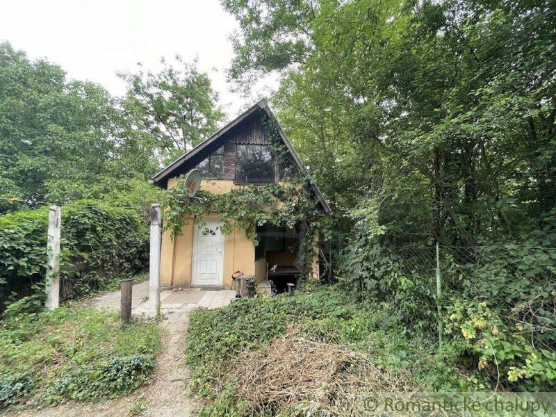 Ein Einfamilienhaus in Branč, umgeben von grüner Natur, Bäumen und Sträuchern.