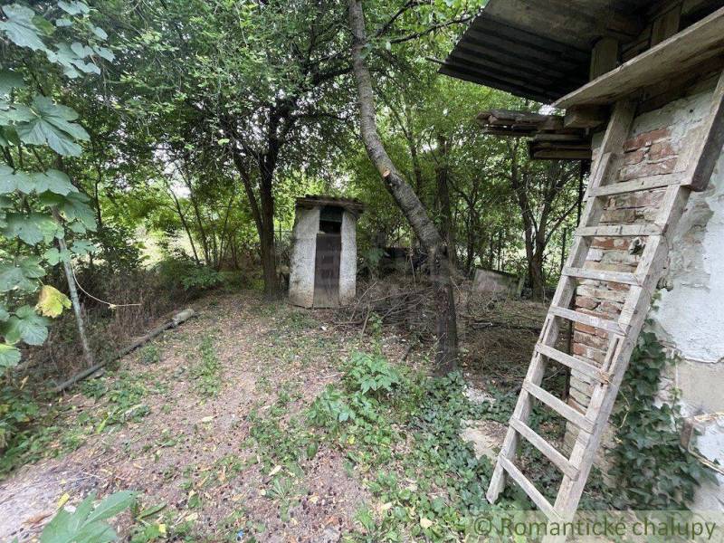 Der Garten des Einfamilienhauses in Branč mit einem Pavillon, einer Holzleiter und dichtem Baumbewuchs.