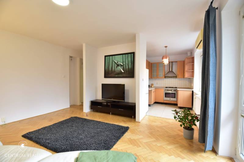 Wohnzimmer mit Fernseher und Küchenzeile in einer 2-Zimmer-Wohnung mit Holzboden.