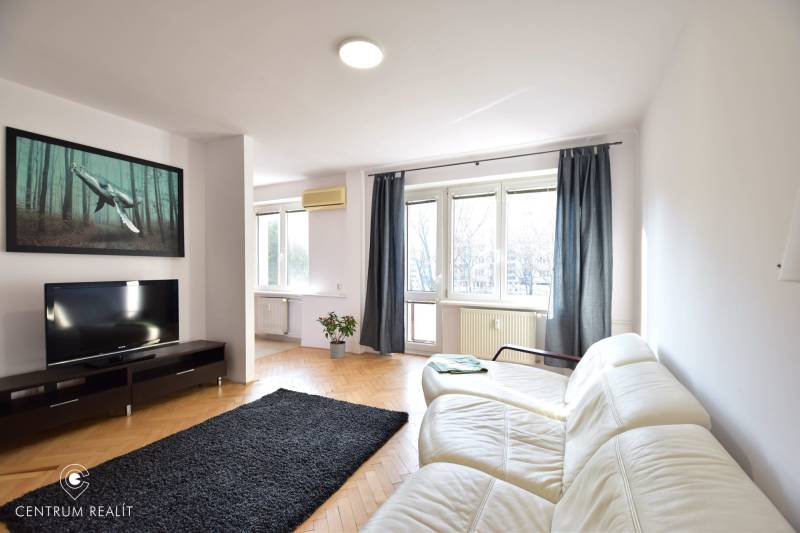 Helles Wohnzimmer mit weißem Sofa, schwarzem Teppich und großen Fenstern in einer Zweizimmerwohnung.