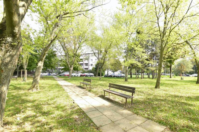 Park in Bratislava - Ružinov, Smolnícka, Bäume, Bänke und Gehweg, Atmosphäre der Entspannung.
