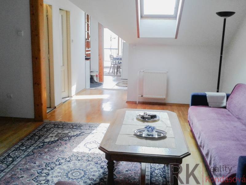 Wohnzimmer in einer 2-Zimmer-Wohnung mit Dachfenster, Sofa und Teppich.