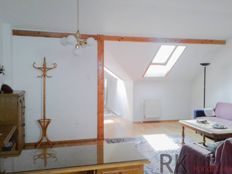 Wohnzimmer in einer Zweizimmerwohnung mit Dachfenster, Sessel und Holzkleiderständer.
