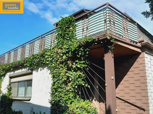 Ein Einfamilienhaus in Hundsheim mit einer von Grün und Kletterpflanzen umgebenen Terrasse.
