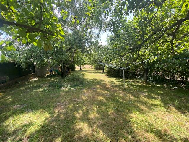 Der Garten des Einfamilienhauses in Hundsheim mit vielen Bäumen und grünem Rasen.
