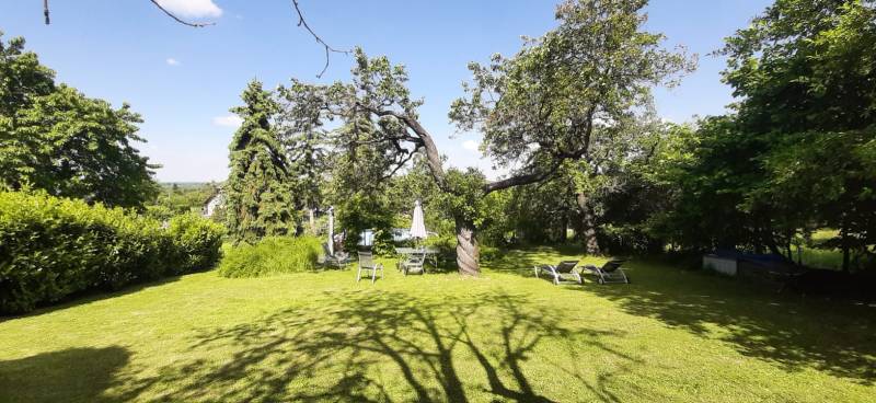 Der Garten der Villa in Hainburg an der Donau mit Rasen, Bäumen und einer Außensitzgelegenheit.