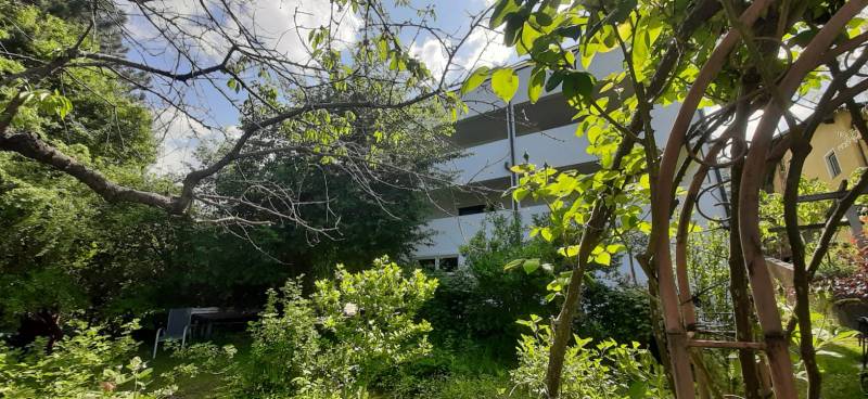 Eine Villa in Hainburg an der Donau, umgeben von Grün und Bäumen unter blauem Himmel.