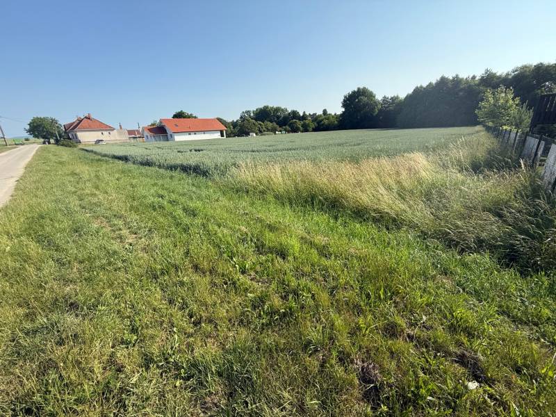 Grünlandflächen zum Wohnen in Bojná; Häuser, Felder und Straße neben dem Wald.