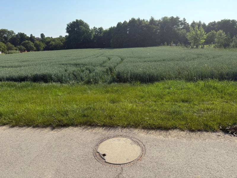 Grünflächen und Felder, umgeben von Bäumen, ideal für Grundstücke - Wohnen in Bojná.