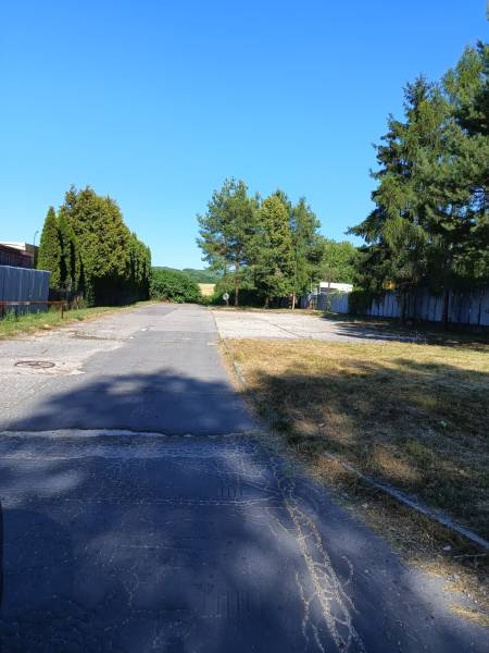 Asphaltstraße umgeben von Bäumen und Grünflächen in Prievidza, geeignet für Grundstücke - Wohnen.