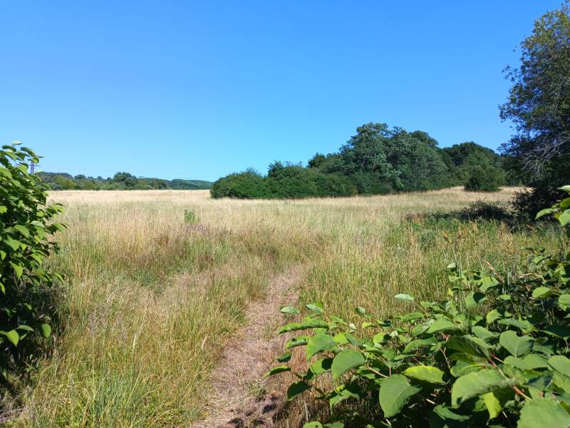 Grundstücke - Wohnen in Prievidza mit Grünflächen und einem Wiesenweg unter blauem Himmel.