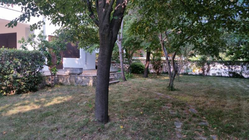 Ein Garten mit Rasen und Bäumen bei einem Einfamilienhaus in Vrsie, umgeben von Grün und Sträuchern.