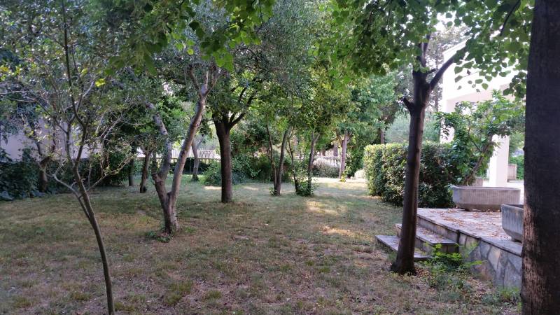 Der Garten eines Familienhauses in Vrsi mit dichtem Bewuchs und Rasen.