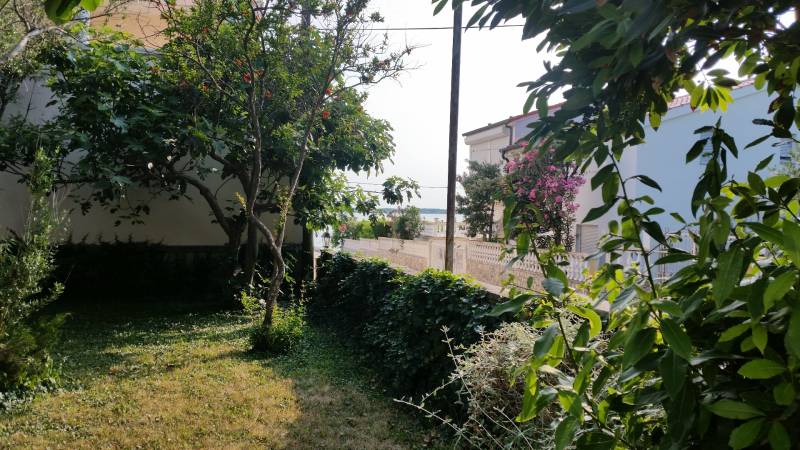 Der Garten eines Einfamilienhauses in Vrsi mit Meerblick zwischen dem Grün.