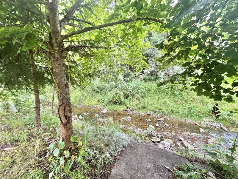 Ein Bach umgeben von üppiger Vegetation, Bäumen und Steinen in der Natur bei Makov.