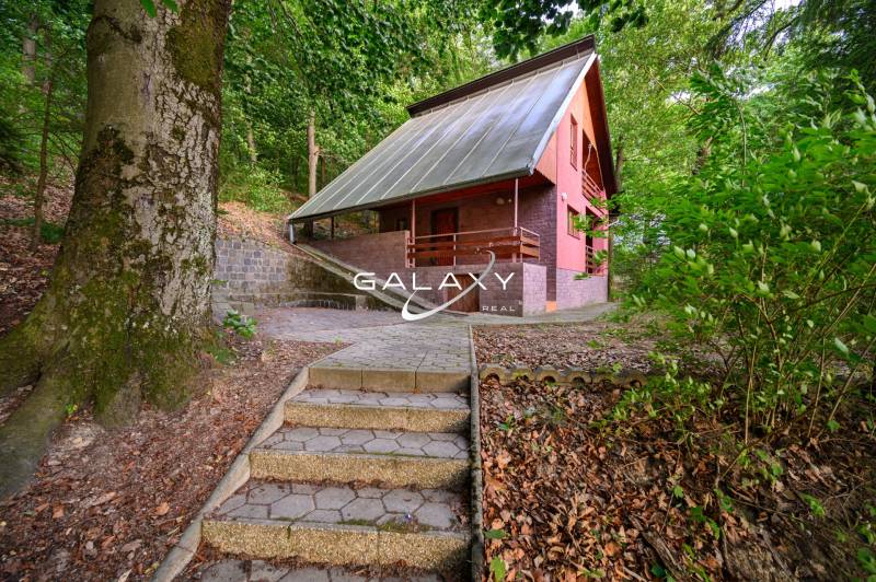 Eine Hütte im Wald bei Ružiná, umgeben von Bäumen, Treppen führen zur Terrasse.