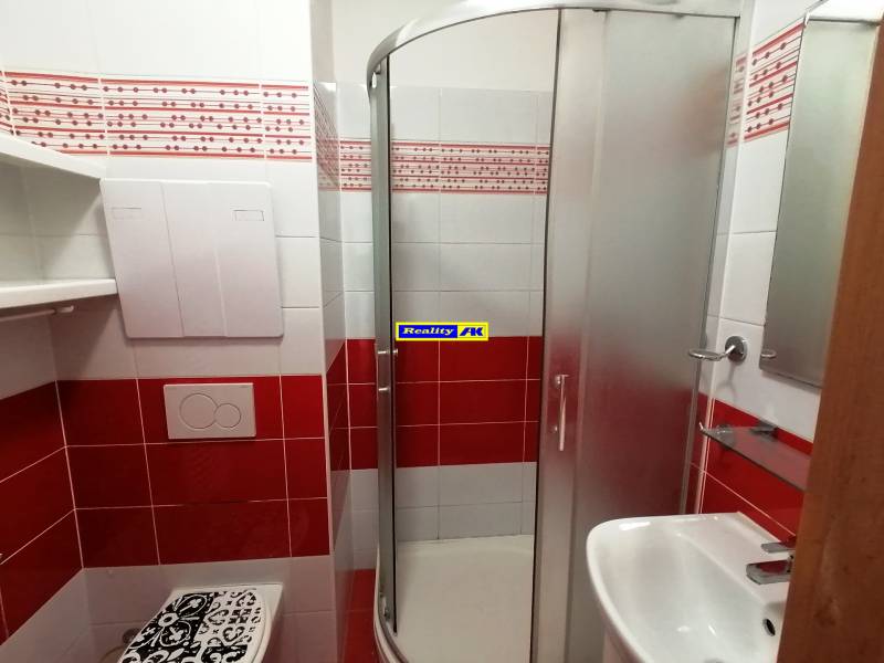 Badezimmer in einer 2-Zimmer-Wohnung mit roten Fliesen, einer Duschkabine und einem Waschbecken.