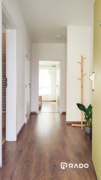 Ein Flur mit Holzboden, einem Kleiderständer und einer Pflanze in einer Zweizimmerwohnung.