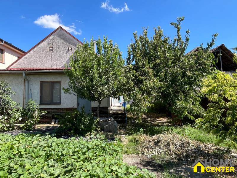 Ein Einfamilienhaus in Kolárovo mit Obstbäumen im Garten unter blauem Himmel.
