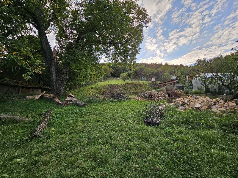 Ein weitläufiger Garten eines Einfamilienhauses in Nitrianske Sučany mit Bäumen und Steinen.