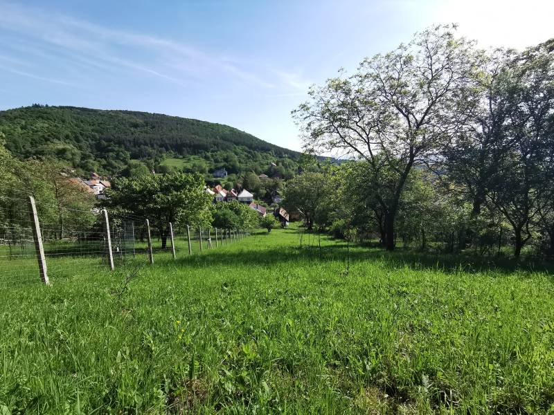 Das Einfamilienhaus in Nitrianske Sučany bietet einen Blick auf die Natur und die hügelige Landschaft im Hintergrund.