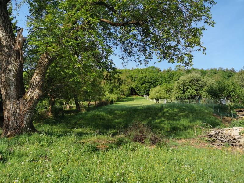 Garten mit Rasen und Bäumen bei einem Einfamilienhaus in Nitrianske Sučany in der Straße Nitrianske Sučany.