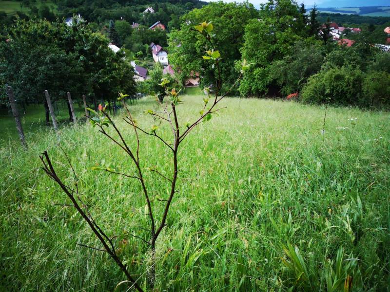 Die Natur in Nitrianske Sučany, Einfamilienhäuser zwischen Grünflächen und Hügeln in der Straße Nitrianske Sučany.
