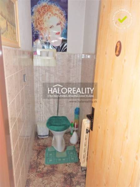 Badezimmer in einem Einfamilienhaus mit Toilette und grünem Sitz.