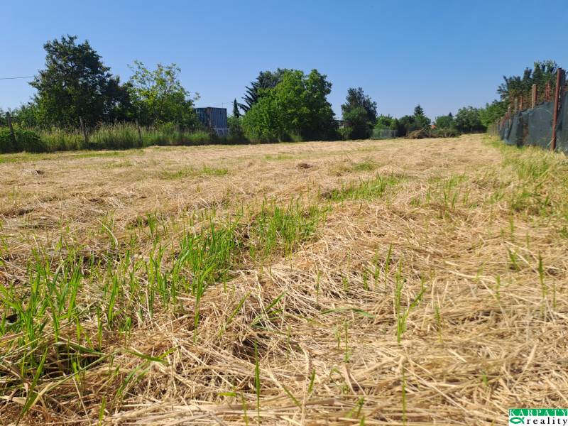 Grundstücke - Gewerbe zum Verkauf in Sládkovičovo, Sládkovičovo, grünes Gras, blauer Himmel.