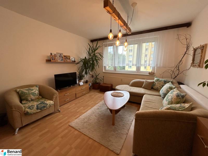 Wohnzimmer mit hellem Sofa, Sessel, Fernseher und Holzmöbeln in einer 2-Zimmer-Wohnung.