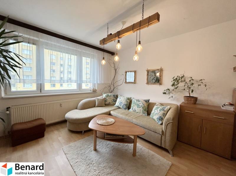 Wohnzimmer in einer Zweizimmerwohnung mit Sofa, Tisch und Pflanzen.