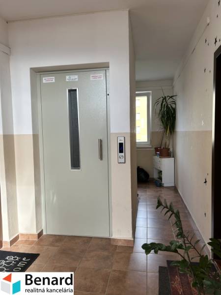 Interieur einer 2-Zimmer-Wohnung mit Aufzug, Pflanzen und Licht vom Fenster im Flur.