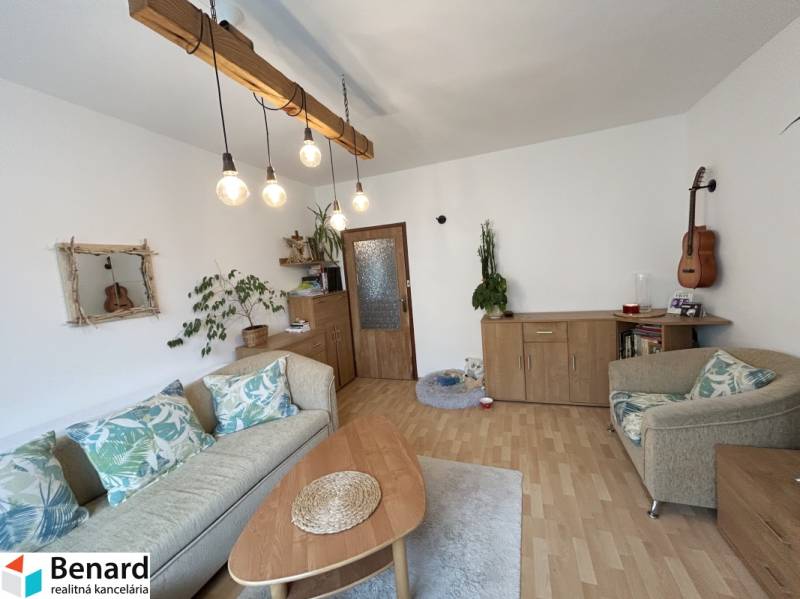 Obývačka in einer 2-Zimmer-Wohnung mit Sofa, Blumen und Gitarre an der Wand.