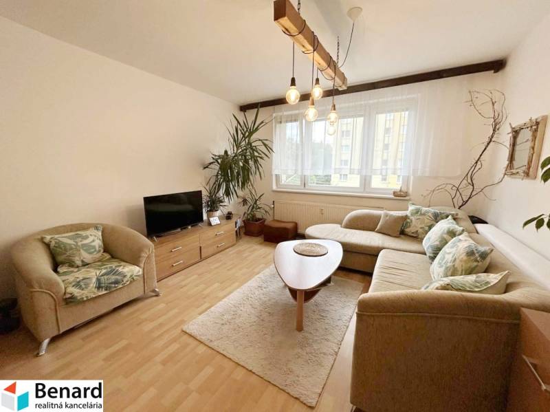 Wohnzimmer in einer 2-Zimmer-Wohnung mit Sofa, Sessel, Fernseher und Pflanze.