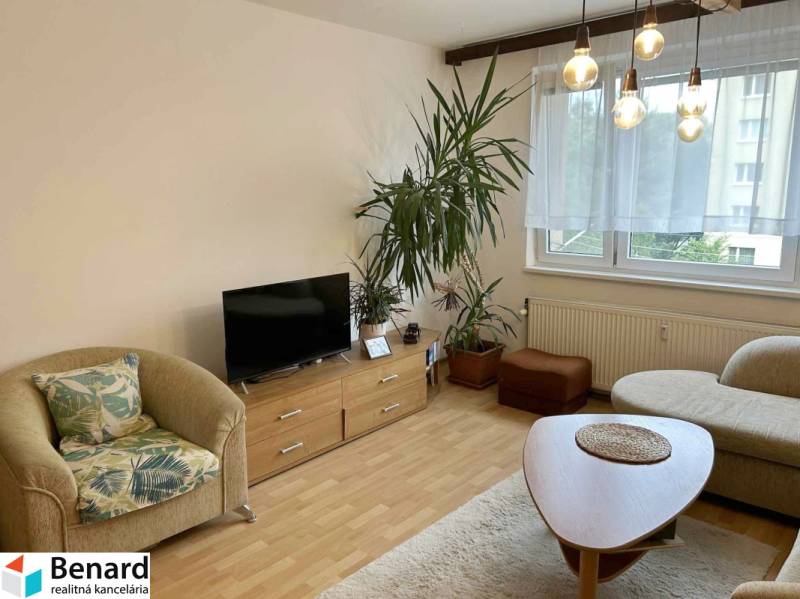Wohnzimmer in einer Zweizimmerwohnung; Sessel, Fernseher, Pflanzen, Fenster mit Vorhang.