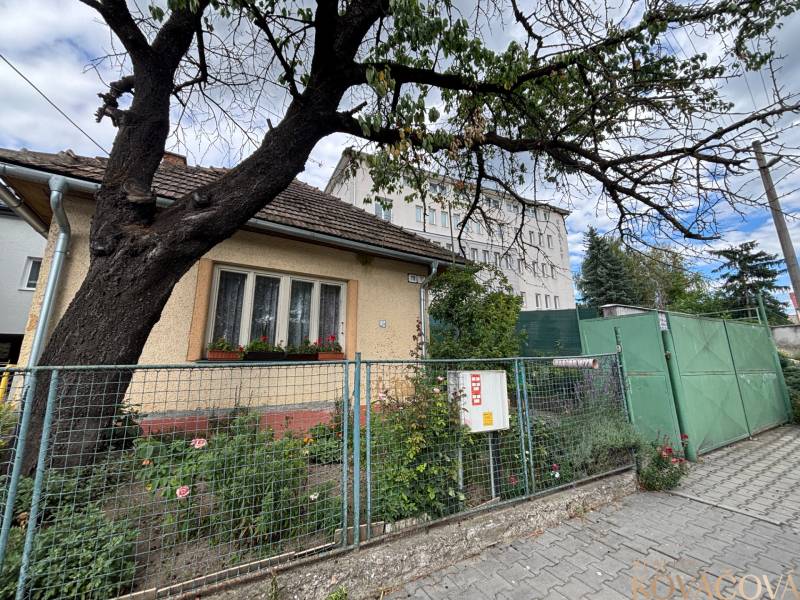 Ein Einfamilienhaus in Ilava mit einem Vorgarten und einem großen Baum neben dem Gehweg.