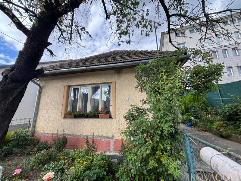 Ein Einfamilienhaus in Ilava mit gepflegtem Garten und Blumen unter dem Fenster.